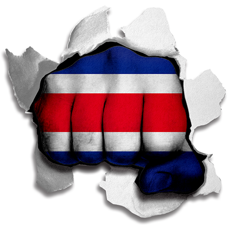 Fist Costa Rica Flag Logo vinyl decal